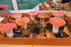 Impressionen aus dem Schulalltag