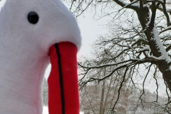 Schulausflug zum Nikolaustag 6.12.23 in den Wildpark Eekholt zum Patenstorch