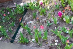Unser Schulhof